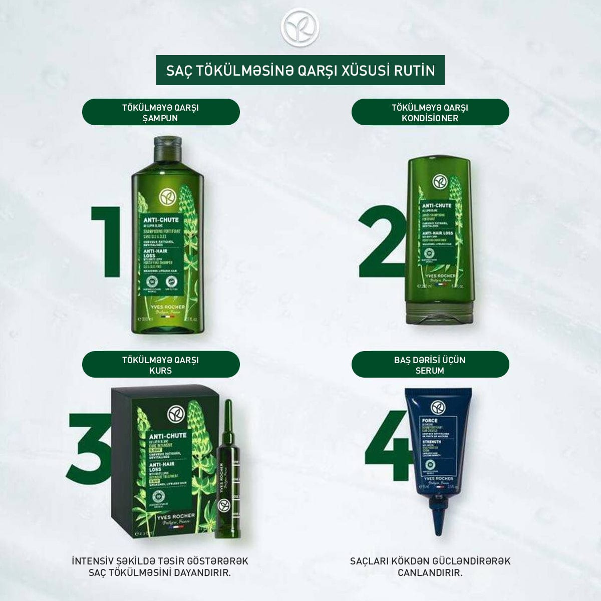 Saç tökülməsinə qarşı intensiv kurs, 4x15 ml